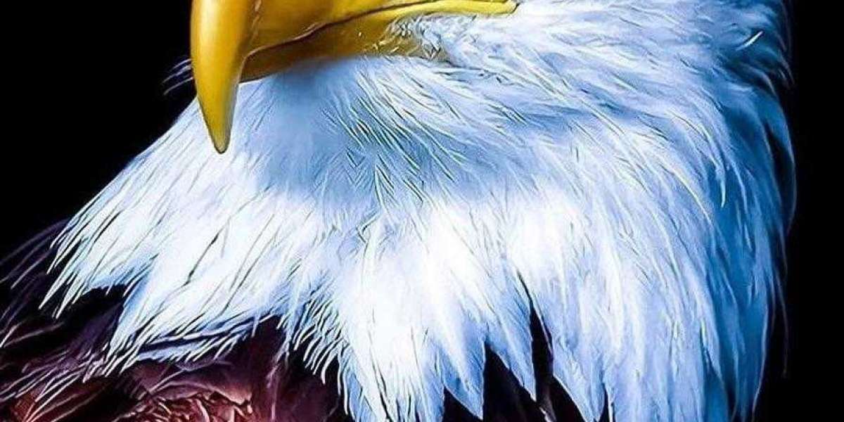 Meet Jackie And Shadow.